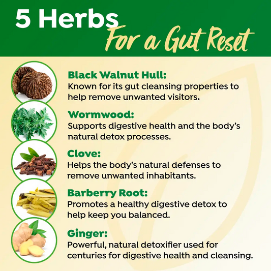 Touchstone Essentials Para-Shield 21ml