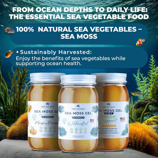 TrueSeaMoss Wildcrafted Irish Sea Moss Gel - Made with Dried Seaweed