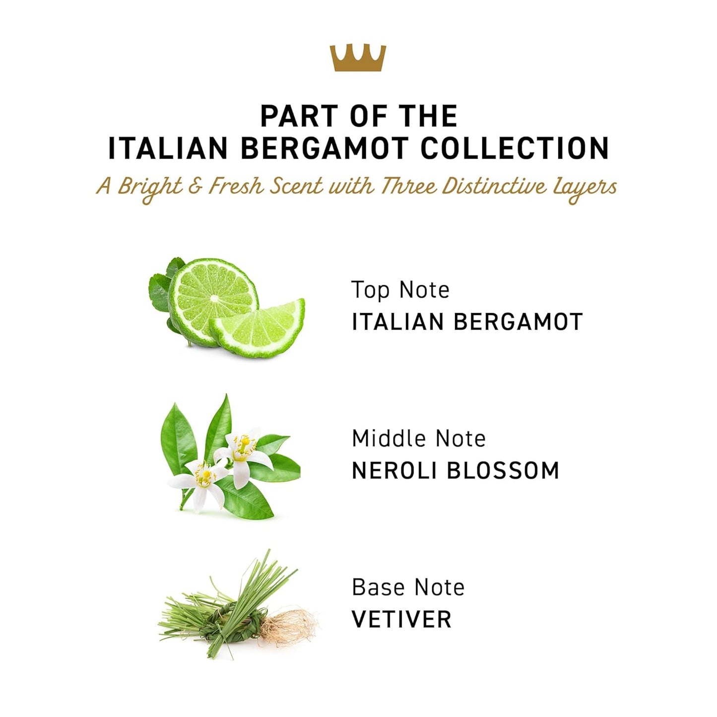 Cremo Italian Bergamot Spray Cologne For Men