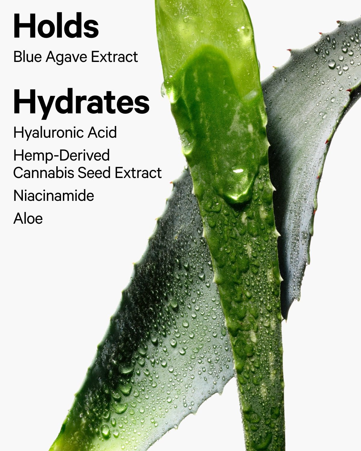 Milk Hydro Grip Set + Refresh Spray