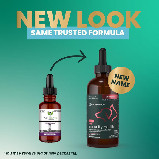 VetriScience DMG Immunity Health Liquid for Dogs & Cats