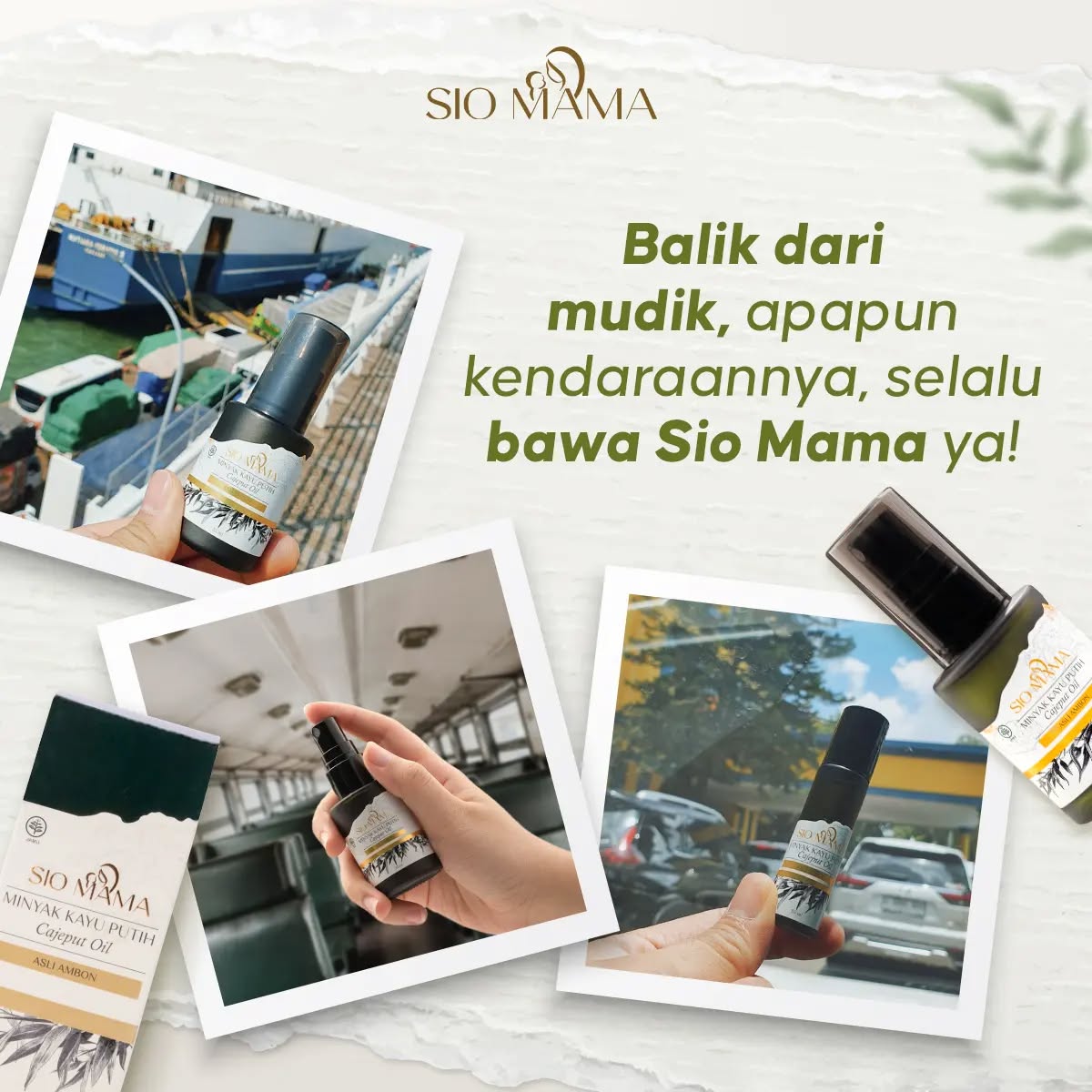 Siomama Premium Minyak Kayu Putih Asli Ambon - Premium Cajuput Oil