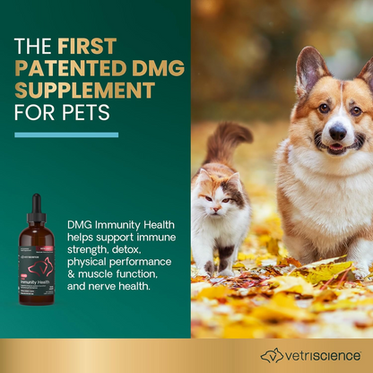 VetriScience DMG Immunity Health Liquid for Dogs & Cats