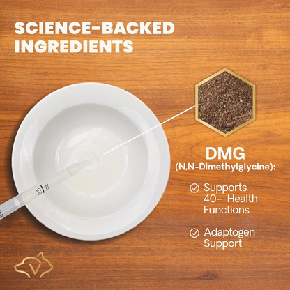 VetriScience DMG Immunity Health Liquid for Dogs & Cats