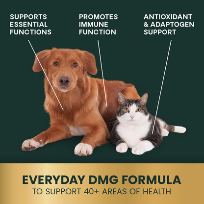 VetriScience DMG Immunity Health Liquid for Dogs & Cats