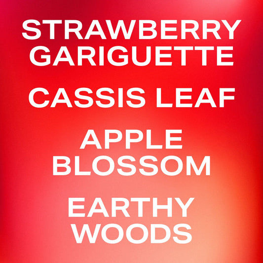 PHLUR  Strawberry Letter