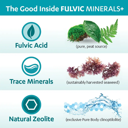 Touchstone Essentials Daily Detox Fulvic Minerals+ 60 mL | 30-day supply