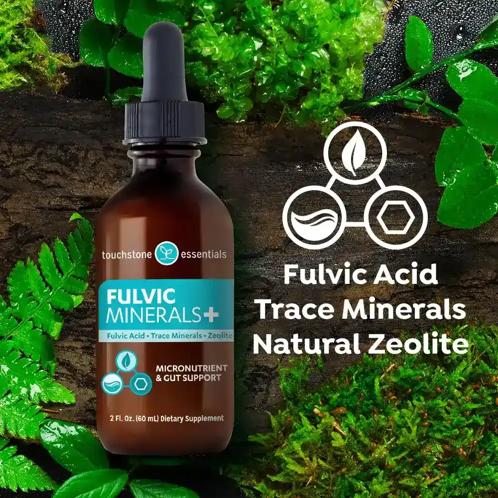Touchstone Essentials Daily Detox Fulvic Minerals+ 60 mL | 30-day supply