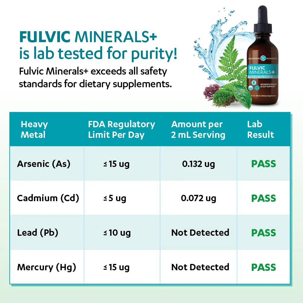 Touchstone Essentials Daily Detox Fulvic Minerals+ 60 mL | 30-day supply