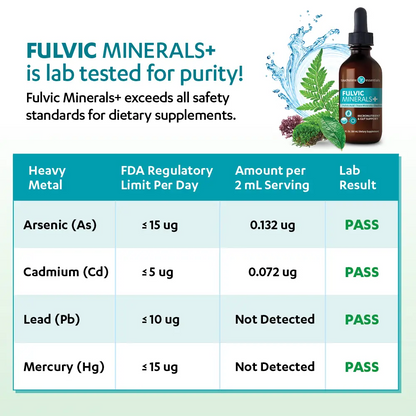 Touchstone Essentials Daily Detox Fulvic Minerals+ 60 mL | 30-day supply