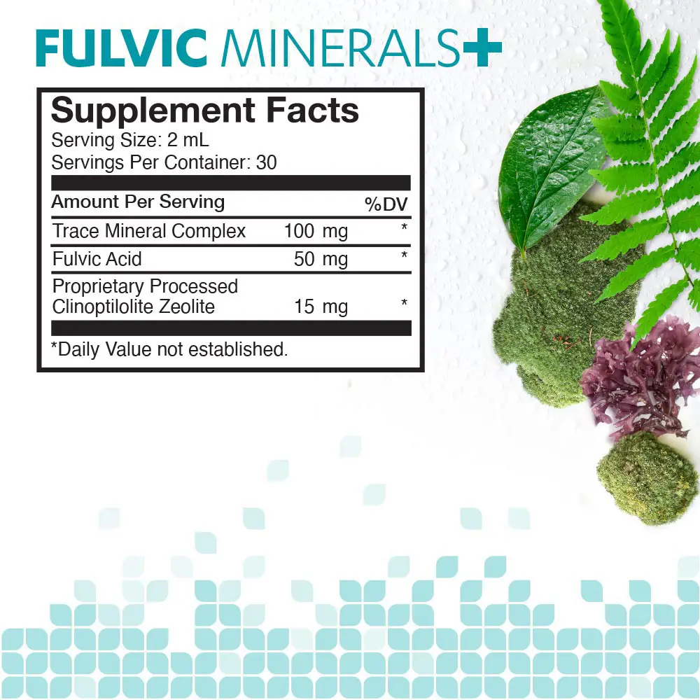 Touchstone Essentials Daily Detox Fulvic Minerals+ 60 mL | 30-day supply