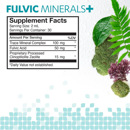 Touchstone Essentials Daily Detox Fulvic Minerals+ 60 mL | 30-day supply
