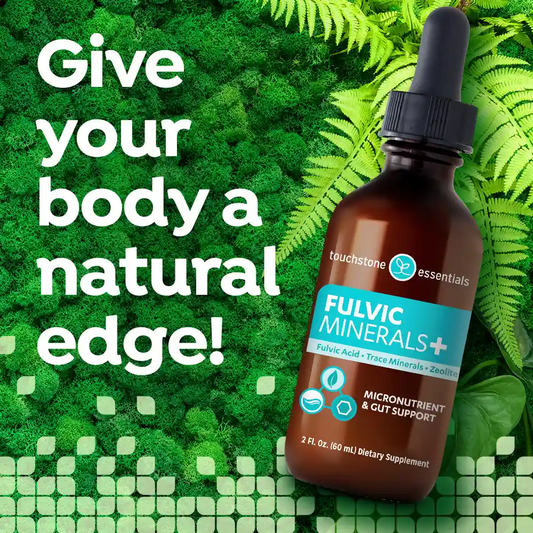Touchstone Essentials Daily Detox Fulvic Minerals+ 60 mL | 30-day supply