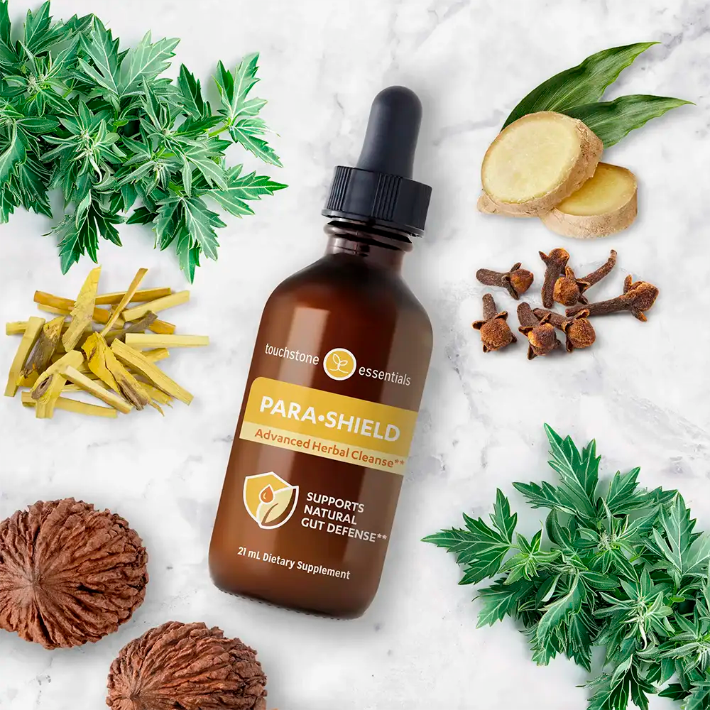 Touchstone Essentials Daily Detox Para-Shield 21 mL